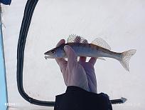 Нажмите на изображение для увеличения.  Название:	IMG_20260218_114108.jpg Просмотров:	0 Размер:	343.8 Кб ID:	4554726