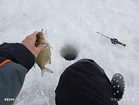 Нажмите на изображение для увеличения.  Название:	IMG_20260219_133813.jpg Просмотров:	0 Размер:	415.8 Кб ID:	4554728