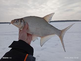 Нажмите на изображение для увеличения.  Название:	IMG_20260219_134215.jpg Просмотров:	0 Размер:	381.4 Кб ID:	4554739