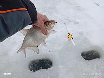 Нажмите на изображение для увеличения.  Название:	IMG_20260220_110606.jpg Просмотров:	0 Размер:	382.7 Кб ID:	4554730