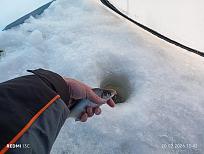 Нажмите на изображение для увеличения.  Название:	IMG_20260220_134251.jpg Просмотров:	0 Размер:	435.6 Кб ID:	4554731