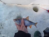 Нажмите на изображение для увеличения.  Название:	IMG_20260221_120815.jpg Просмотров:	0 Размер:	410.6 Кб ID:	4554734