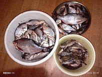 Нажмите на изображение для увеличения.  Название:	IMG_20260222_204912.jpg Просмотров:	0 Размер:	550.1 Кб ID:	4554738