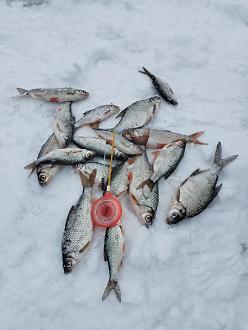 Нажмите на изображение для увеличения.  Название:	IMG_20260225_150729.jpg Просмотров:	0 Размер:	345.0 Кб ID:	4554804