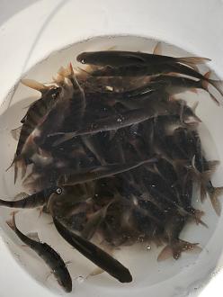 Нажмите на изображение для увеличения.  Название:	IMG-b3fbc57500315808fdbe50607989fc32-V.jpg Просмотров:	0 Размер:	190.8 Кб ID:	4554880