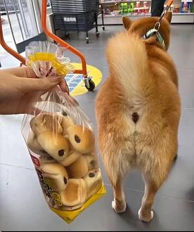 Нажмите на изображение для увеличения.

Название:	642742118_2102686227238184_7754292375520929954_n.jpg
Просмотров:	12
Размер:	59.2 Кб
ID:	4554927