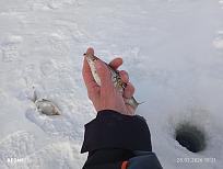 Нажмите на изображение для увеличения.

Название:	IMG_20260228_102100.jpg
Просмотров:	13
Размер:	281.7 Кб
ID:	4554970