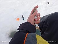 Нажмите на изображение для увеличения.

Название:	IMG_20260228_112154.jpg
Просмотров:	13
Размер:	407.0 Кб
ID:	4554971