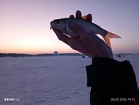 Нажмите на изображение для увеличения.

Название:	IMG_20260228_191103.jpg
Просмотров:	13
Размер:	226.2 Кб
ID:	4554972