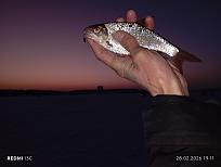 Нажмите на изображение для увеличения.

Название:	IMG_20260228_191114.jpg
Просмотров:	13
Размер:	238.1 Кб
ID:	4554973