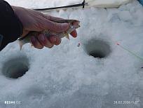 Нажмите на изображение для увеличения.

Название:	IMG_20260228_113703.jpg
Просмотров:	13
Размер:	326.8 Кб
ID:	4554974