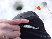 Нажмите на изображение для увеличения.

Название:	IMG_20260228_094149.jpg
Просмотров:	14
Размер:	478.6 Кб
ID:	4554975