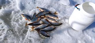 Нажмите на изображение для увеличения.

Название:	IMG_20260228_152702.jpg
Просмотров:	0
Размер:	487.2 Кб
ID:	4555018