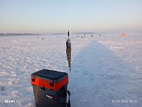 Нажмите на изображение для увеличения.  Название:	IMG_20260301_083213.jpg Просмотров:	0 Размер:	244.1 Кб ID:	4555025