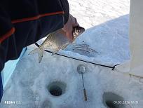 Нажмите на изображение для увеличения.  Название:	IMG_20260301_103135.jpg Просмотров:	0 Размер:	442.4 Кб ID:	4555026