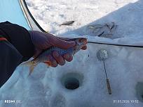 Нажмите на изображение для увеличения.

Название:	IMG_20260301_105213.jpg
Просмотров:	24
Размер:	383.8 Кб
ID:	4555028