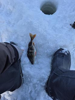 Нажмите на изображение для увеличения.  Название:	20260228_133625.jpg Просмотров:	3 Размер:	312.5 Кб ID:	4555066