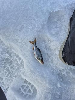 Нажмите на изображение для увеличения.  Название:	20260301_173655.jpg Просмотров:	3 Размер:	479.2 Кб ID:	4555072