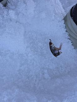 Нажмите на изображение для увеличения.  Название:	20260301_161914(0).jpg Просмотров:	3 Размер:	329.0 Кб ID:	4555073