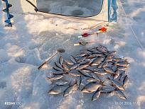 Нажмите на изображение для увеличения.

Название:	IMG_20260301_175208.jpg
Просмотров:	128
Размер:	564.2 Кб
ID:	4555086