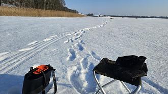 Нажмите на изображение для увеличения.

Название:	20260228_102630.jpg
Просмотров:	34
Размер:	552.4 Кб
ID:	4555175