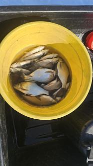 Нажмите на изображение для увеличения.

Название:	20260228_133934.jpg
Просмотров:	37
Размер:	239.2 Кб
ID:	4555176