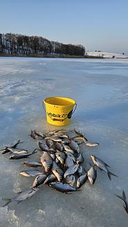 Нажмите на изображение для увеличения.

Название:	20260228_173501.jpg
Просмотров:	34
Размер:	297.3 Кб
ID:	4555182