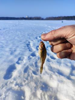 Нажмите на изображение для увеличения.

Название:	IMG_20260228_162513.jpg
Просмотров:	10
Размер:	184.4 Кб
ID:	4555288