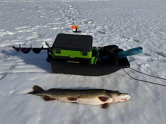Нажмите на изображение для увеличения.

Название:	IMG-20260301-WA0000.jpg
Просмотров:	32
Размер:	402.3 Кб
ID:	4555183