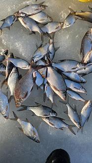 Нажмите на изображение для увеличения.

Название:	20260301_171319.jpg
Просмотров:	35
Размер:	457.2 Кб
ID:	4555186