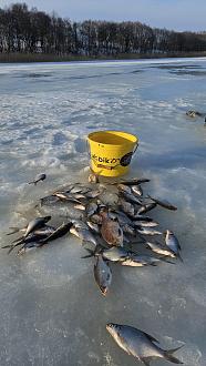 Нажмите на изображение для увеличения.

Название:	20260301_171304.jpg
Просмотров:	32
Размер:	384.6 Кб
ID:	4555187