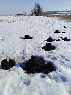 Нажмите на изображение для увеличения.

Название:	IMG_20260301_104900.jpg
Просмотров:	43
Размер:	494.0 Кб
ID:	4555323