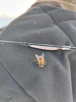 Нажмите на изображение для увеличения.

Название:	IMG_20260301_143915.jpg
Просмотров:	32
Размер:	316.2 Кб
ID:	4555324