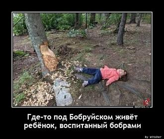 Нажмите на изображение для увеличения.

Название:	images (12).jpeg
Просмотров:	18
Размер:	52.0 Кб
ID:	4555432