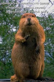 Нажмите на изображение для увеличения.  Название:	images (13).jpeg Просмотров:	0 Размер:	52.1 Кб ID:	4555428