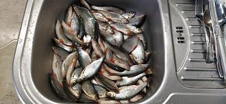 Нажмите на изображение для увеличения.

Название:	IMG_20260306_174146.jpg
Просмотров:	17
Размер:	494.0 Кб
ID:	4555594