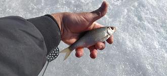 Нажмите на изображение для увеличения.

Название:	IMG_20260306_114547.jpg
Просмотров:	12
Размер:	445.8 Кб
ID:	4555595