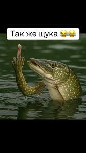 Нажмите на изображение для увеличения.

Название:	images (15).jpeg
Просмотров:	0
Размер:	11.6 Кб
ID:	4555604