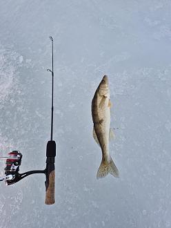 Нажмите на изображение для увеличения.

Название:	20260307_183757(0).jpg
Просмотров:	188
Размер:	294.6 Кб
ID:	4555645