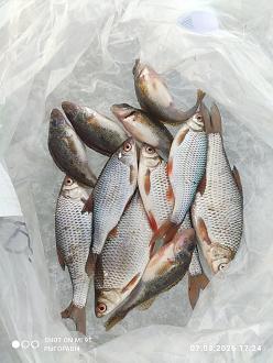 Нажмите на изображение для увеличения.

Название:	IMG_20260307_172434.jpg
Просмотров:	42
Размер:	414.3 Кб
ID:	4555649