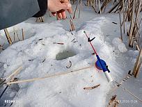 Нажмите на изображение для увеличения.  Название:	IMG_20260307_112437.jpg Просмотров:	0 Размер:	583.4 Кб ID:	4555656