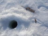 Нажмите на изображение для увеличения.  Название:	IMG_20260307_100418.jpg Просмотров:	0 Размер:	583.5 Кб ID:	4555657