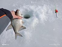 Нажмите на изображение для увеличения.  Название:	IMG_20260307_123146.jpg Просмотров:	0 Размер:	547.8 Кб ID:	4555659