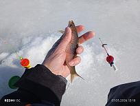 Нажмите на изображение для увеличения.  Название:	IMG_20260307_131852.jpg Просмотров:	0 Размер:	417.4 Кб ID:	4555661