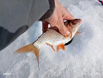 Нажмите на изображение для увеличения.  Название:	IMG_20260307_143215.jpg Просмотров:	0 Размер:	435.1 Кб ID:	4555662