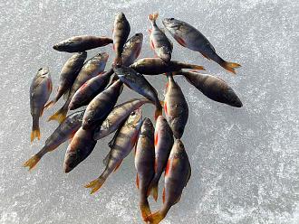 Нажмите на изображение для увеличения.

Название:	изображение_viber_2026-03-08_10-17-40-411.jpg
Просмотров:	684
Размер:	517.3 Кб
ID:	4555707