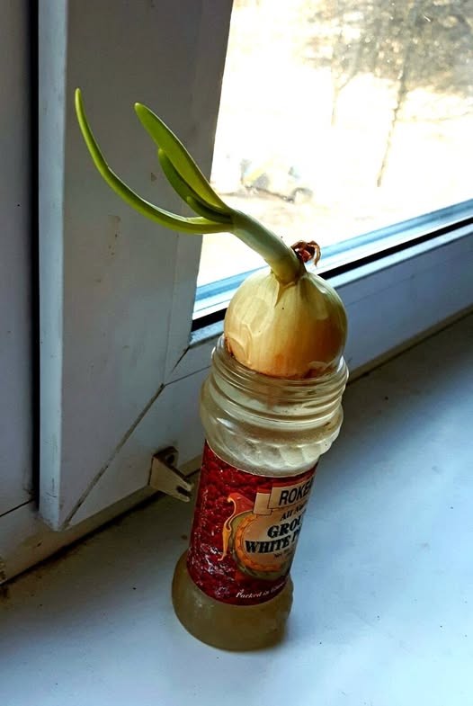 Нажмите на изображение для увеличения.

Название:	484097361_9648117578584328_4829343793688835906_n.jpg
Просмотров:	99
Размер:	56.1 Кб
ID:	4555718