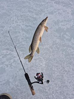 Нажмите на изображение для увеличения.

Название:	20260308_185151(0).jpg
Просмотров:	398
Размер:	532.6 Кб
ID:	4555775