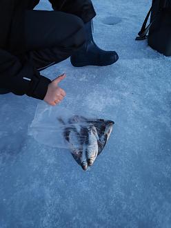 Нажмите на изображение для увеличения.

Название:	IMG_20260308_193424.jpg
Просмотров:	389
Размер:	262.9 Кб
ID:	4555801