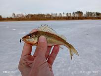 Нажмите на изображение для увеличения.  Название:	IMG_20260308_180346.jpg Просмотров:	0 Размер:	342.8 Кб ID:	4555857